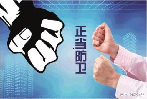 爆料冻货暴利事件案例视频,一场冰封下的财富盛宴