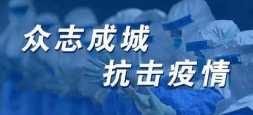 爆料冻货暴利事件案例视频,一场冰封下的财富盛宴 第2张 爆料冻货暴利事件案例视频,一场冰封下的财富盛宴 第2张