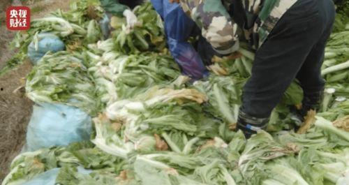 老坛酸菜牛肉面新闻爆料,真相揭秘与行业反思 第3张 老坛酸菜牛肉面新闻爆料,真相揭秘与行业反思 第3张